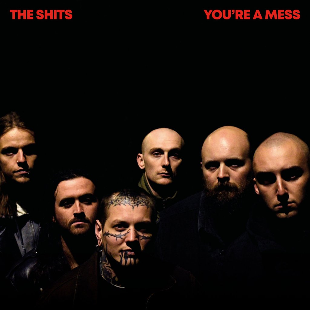 Album Appreciation: You’re A Mess by The Shits